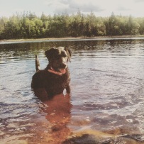 Long Lake off-leash dog-friendly