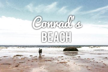 Conrad's Beach in Lawrencetown, Nova Scotia is Off-Leash Dog Friendly