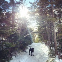 Spider Lake Trails in Dartmouth, NS off-leash dog friendly