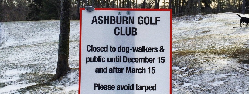 Ashburn Golf Club Dog-Friendly