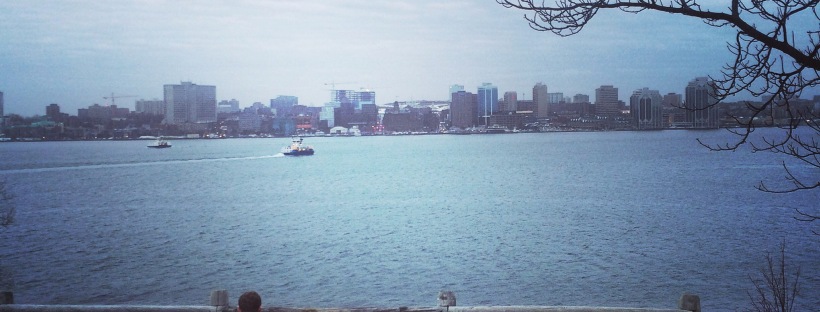 Dartmouth Harbourwalk Dog-Friendly Halifax Harbour View