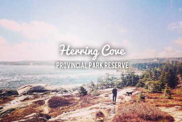 Herring Cove Provincial Park Reserve in Halifax, Nova Scotia