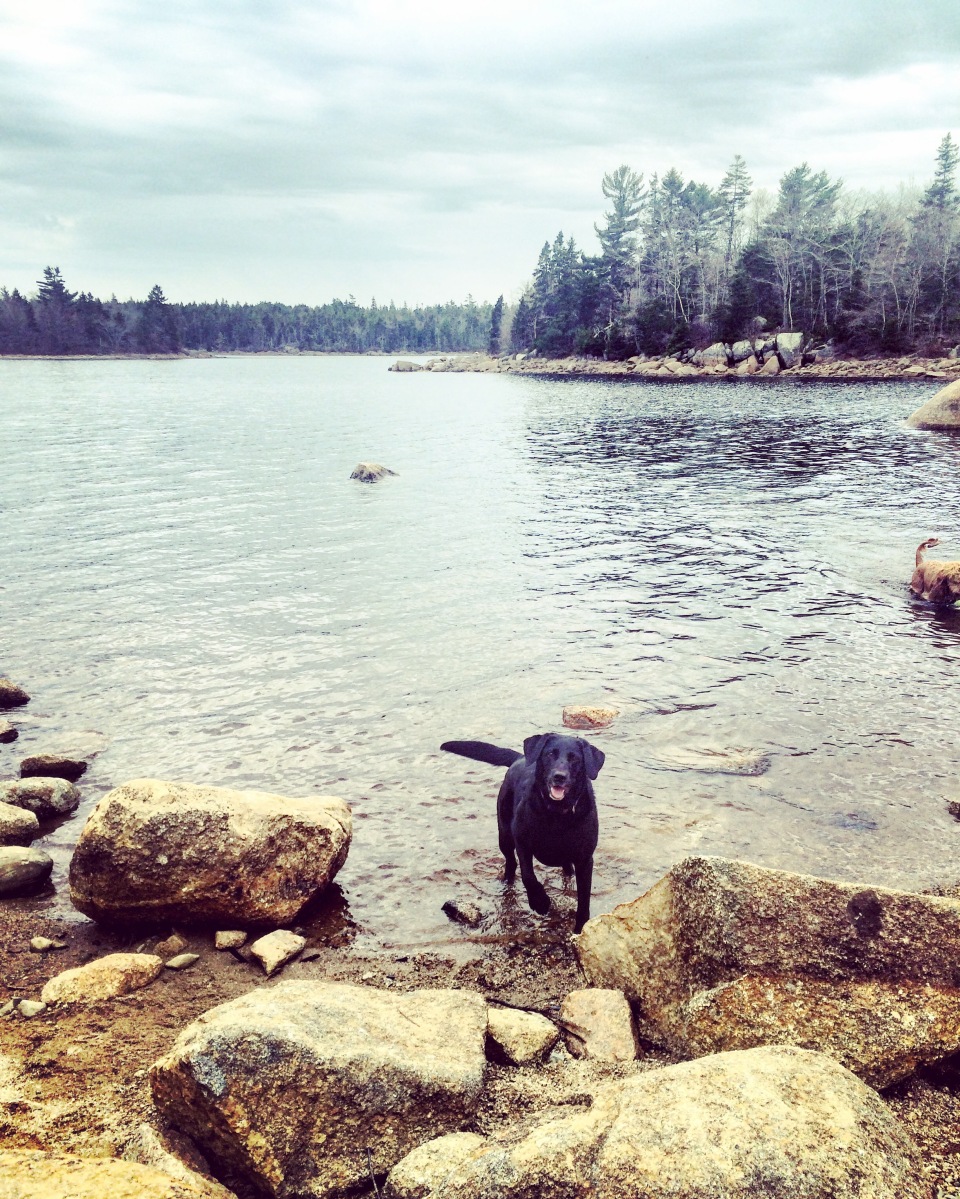 Long Lake Provincial Park new Lakeview Trail dog-friendly