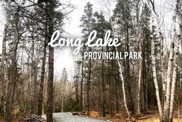 Long Lake Provincial Park dog-friendly