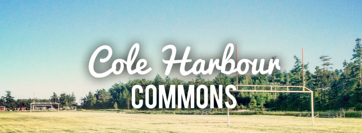 Cole Harbour Commons off-leash / fetch / dog-friendly?