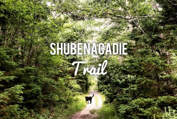 Shubenacadie Trail in Waverley, Nova Scotia Off-Leash Dog Friendly