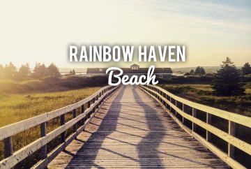 Rainbow Haven Beach in Cole Harbour, Nova Scotia Off-Leash Dog Friendly