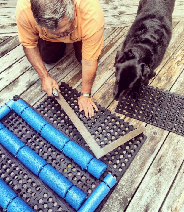 DIY Dock &amp; Boat Ramp for Dogs – Halifax Dogventures