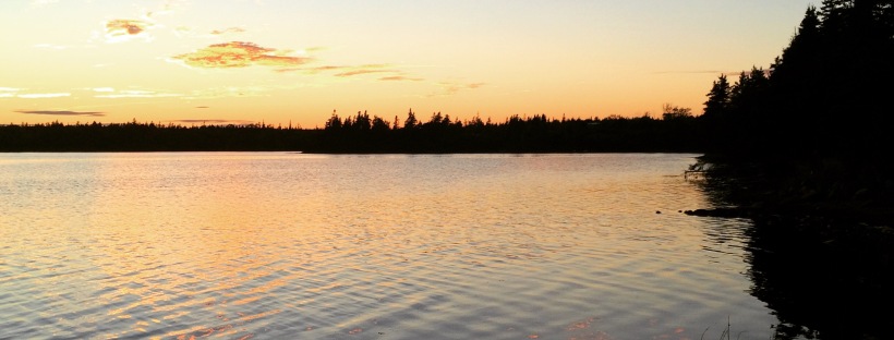 Porters Lake Provincial Park Campground Off-Leash Dog Friendly