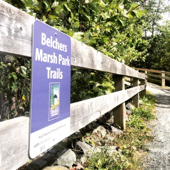 Belchers Marsh Park in Clayton Park, Halifax, Nova Scotia Off-Leash Dog Friendly