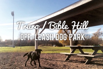 Truro / Bible Hill Off-Leash Dog Park in Truro, Nova Scotia